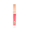 LIP LUSTRE HALL OF FAME