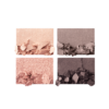 Luxury Palette Uptown Girl